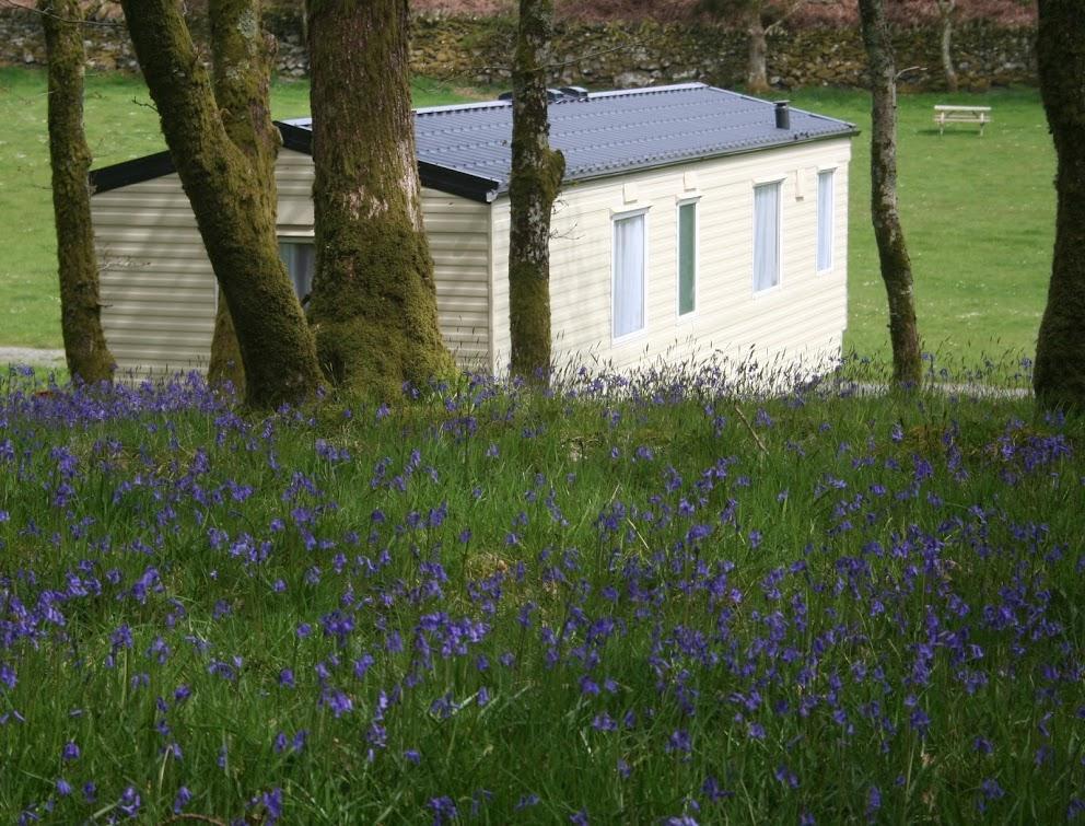 Dinas Hotel Llanbedr  Exterior photo
